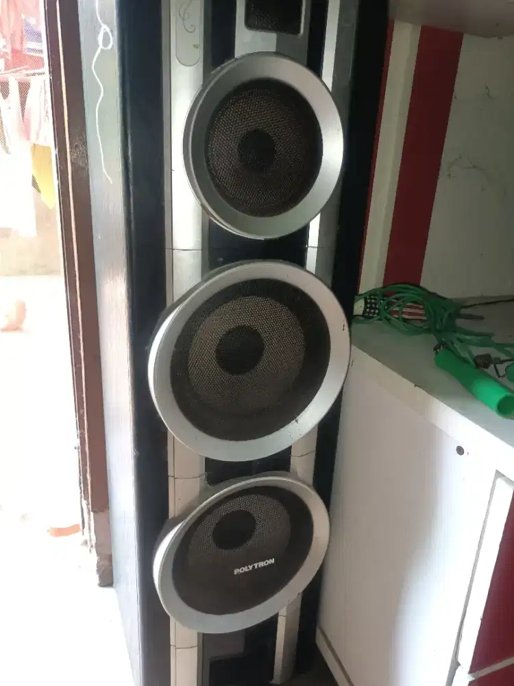Speaker Polytron