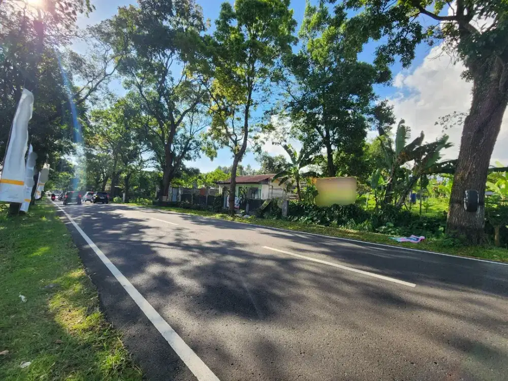 Tanah Luas Murah Pinggir Jalan Solo Tawangmangu Karangpandan Strategis