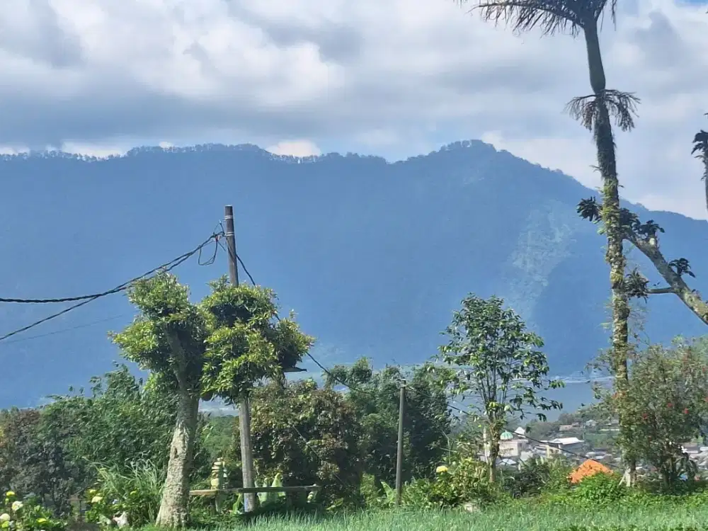 TANAH KEBUN 1460M2 VIEW DANAU BRATAN BEDUGUL BALI