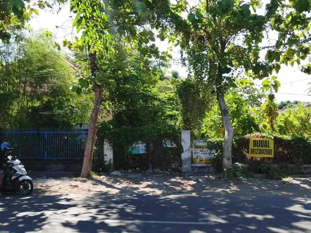 Kalasan Pacar keling Surabaya