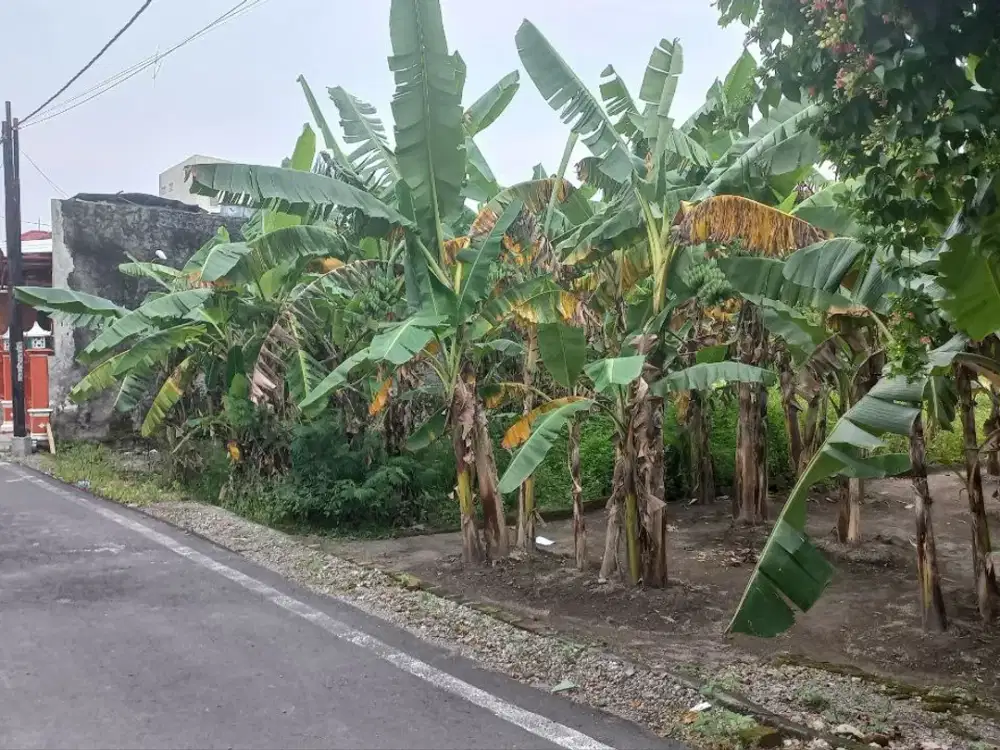 Tanah Pekarangan Tengah Kota Dekat ke Stadion Manahan