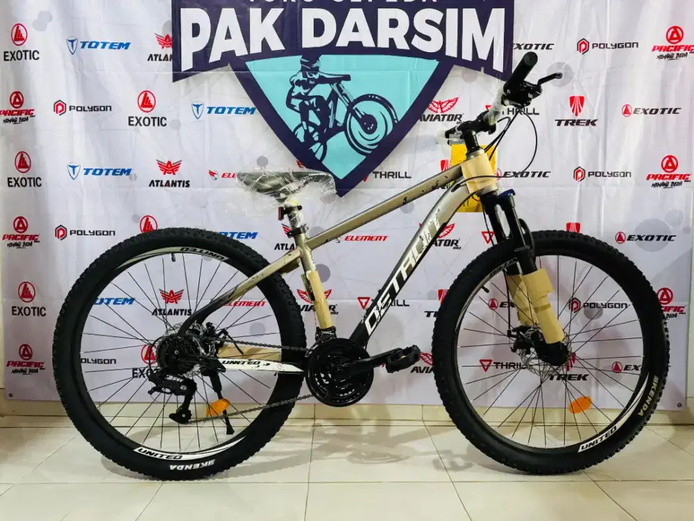Sepeda Gunung MTB United Detroit EZ frame aluminium size 27