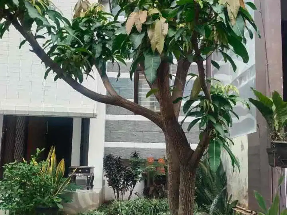 Rumah Siap Huni di Emerald Bintaro Sektor 9 Tangsel