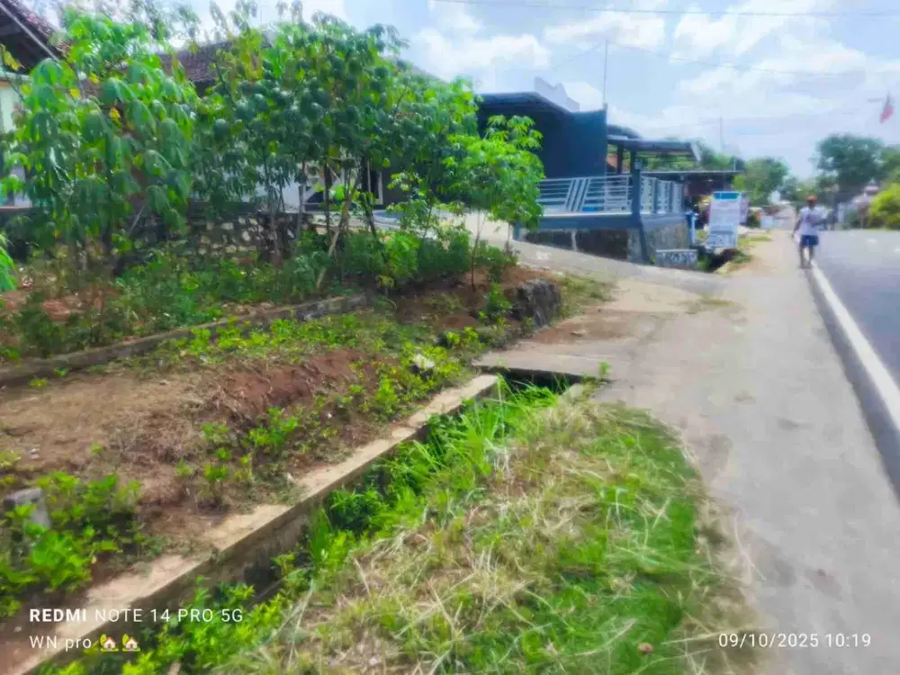JUAL TANAH DI JALAN NASIONAL GIRIMULYO KULONPROGO
