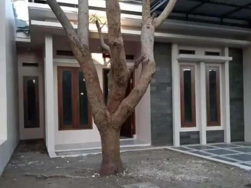 Rumah Graha Adipati Talun cirebon