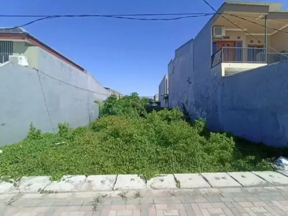 Dijual Kavlingan Tambak Medokan Ayu Rungkut Surabaya Timur