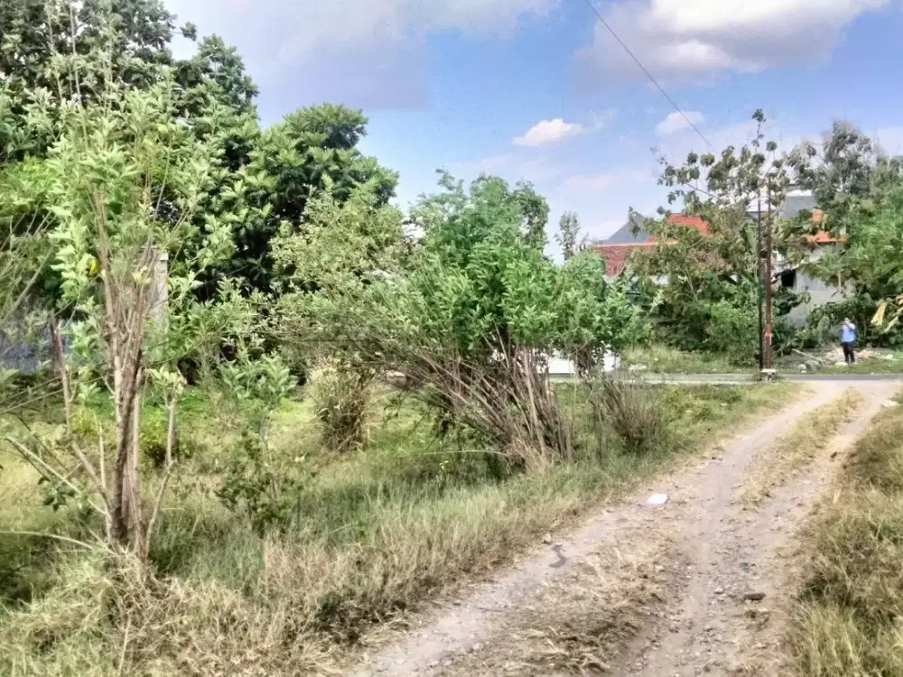 Kavling Untuk Kost, Dekat Kampus UMS Solo 4,5Jutaan/m