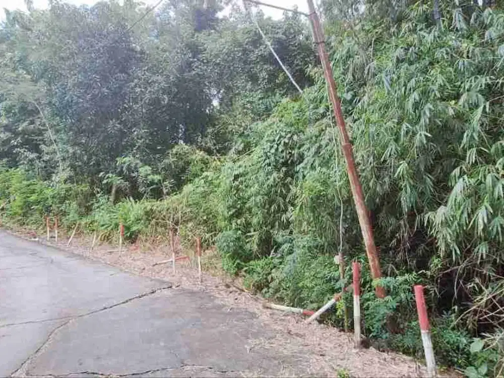 Tanah Pekarangan 2.115m² Kalijambe Sragen