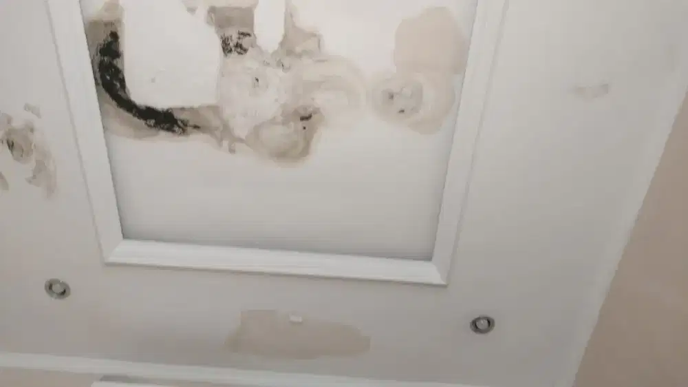 Perbaikan plafon gifsum