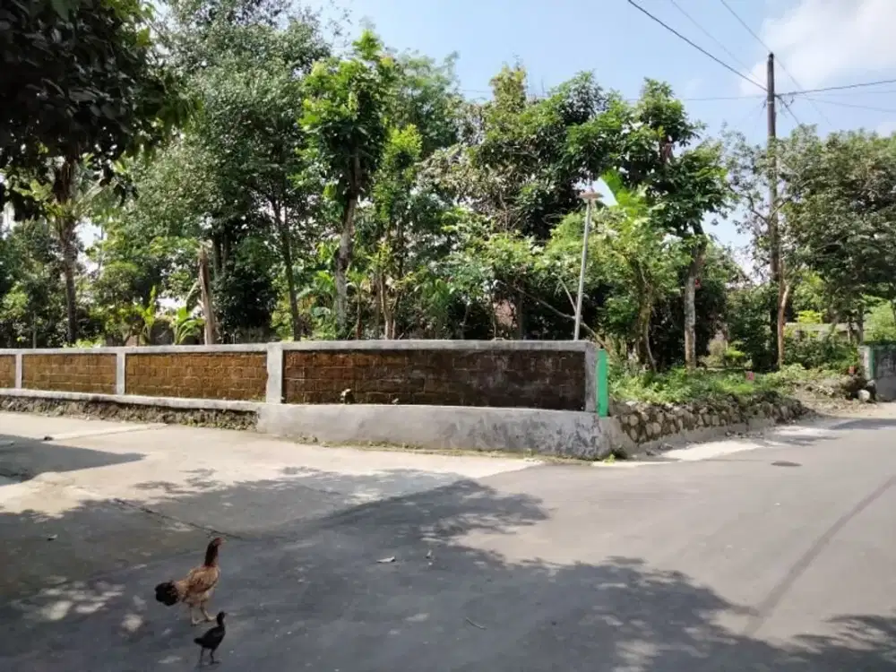 Tanah Kapling Murah dekat candi prambanan Klaten Jawa Tengah