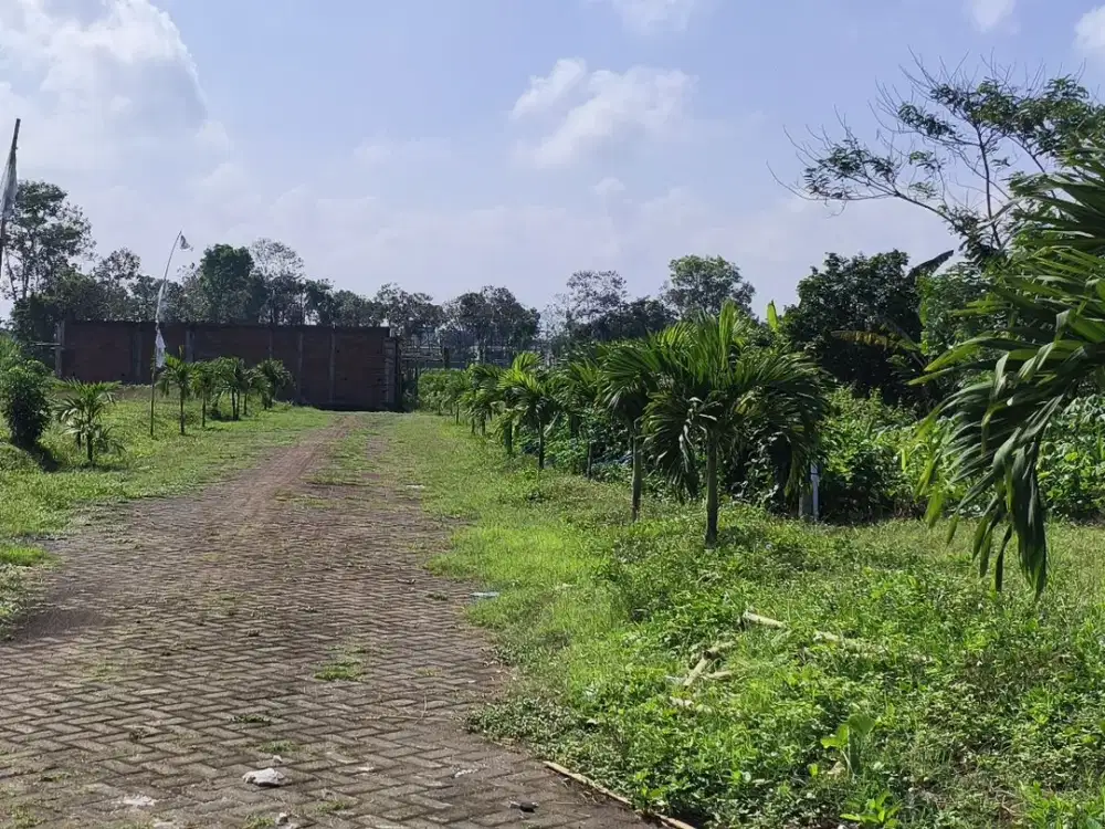 Tanah Pakis Malang Dekat Exit Tol Cocok Untuk Tabungan atau Hunian