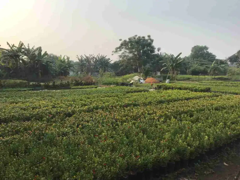 #Di jual cepat tanah murah karang tengah harga Bu pemilik lokasi strategis Banten