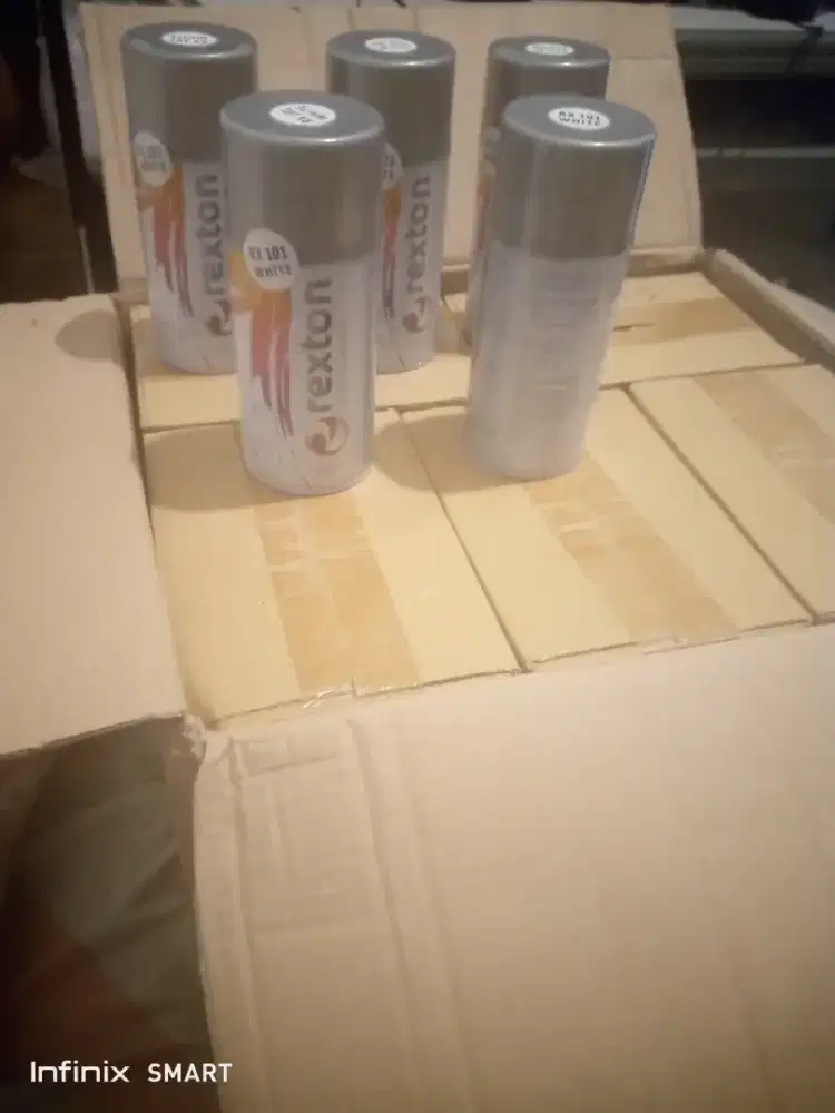 Dijual murah cat semprot / spray paint