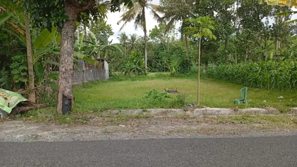 Disewakan tanah di jl Gabugan pendowoharjo cocok resto atau villa