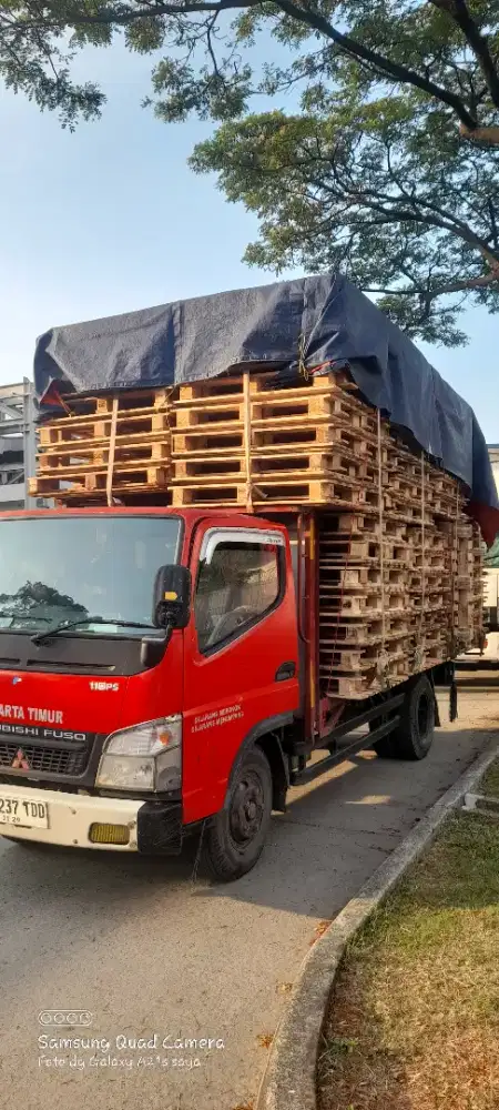 Pallet kayu murah