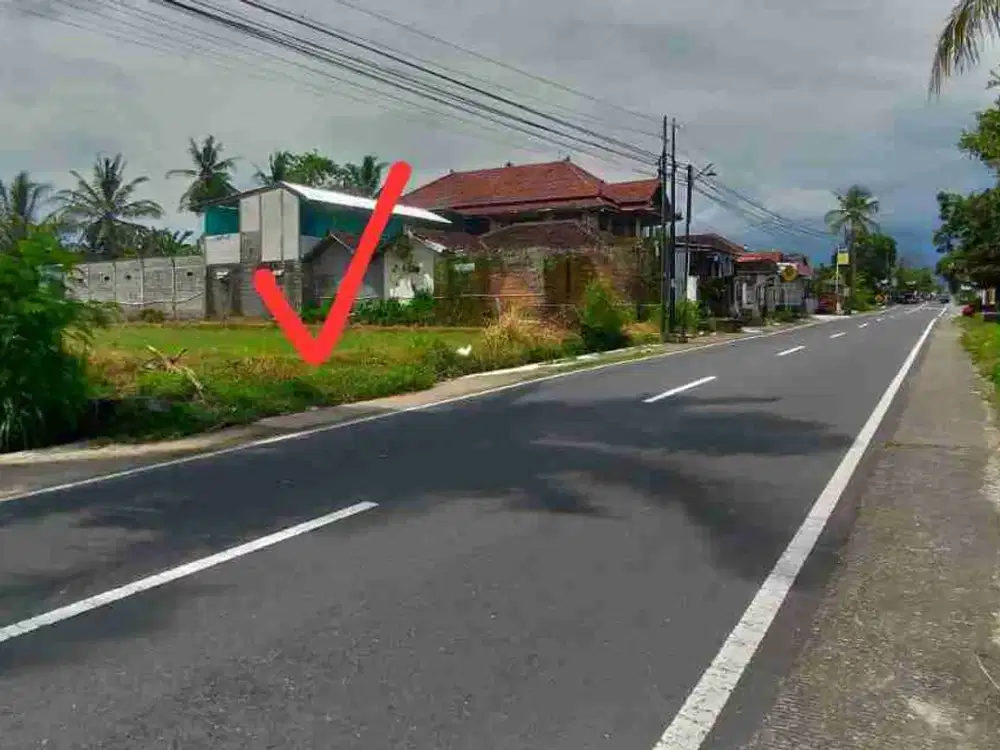 tanah 1.hektar pendowoharjo sleman yogyakarta