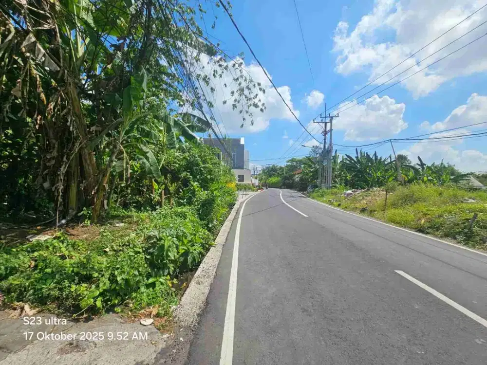 TANAH KOMERSIL 250m² PERERENAN