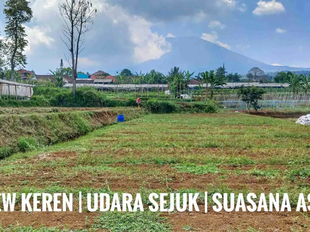 Dijual tanah sawah kebun kolam luas pinggir jalan dekat kota.