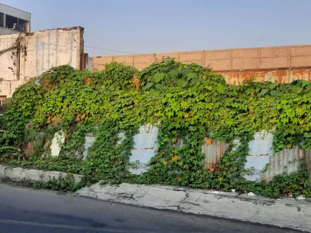 Tanah strategis daerah .Gayamsari Semarang – 10797