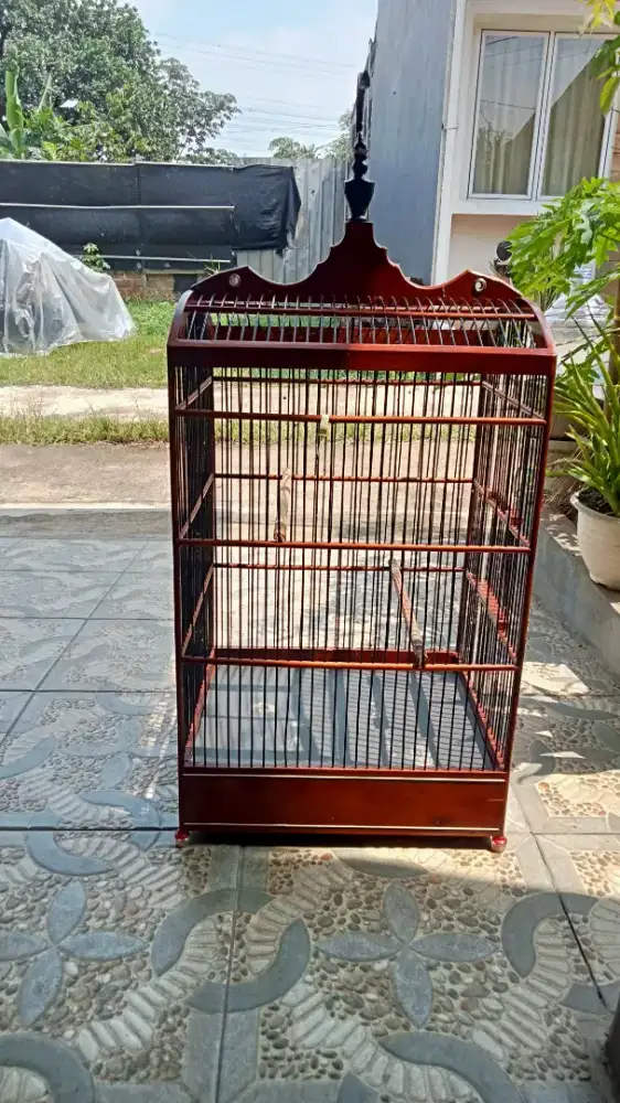 Kandang Kotak Nomor 2