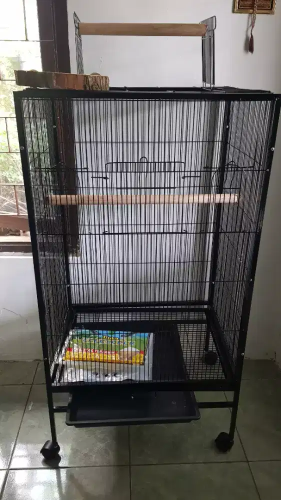 Kadang parrot baru 4 hari pakai