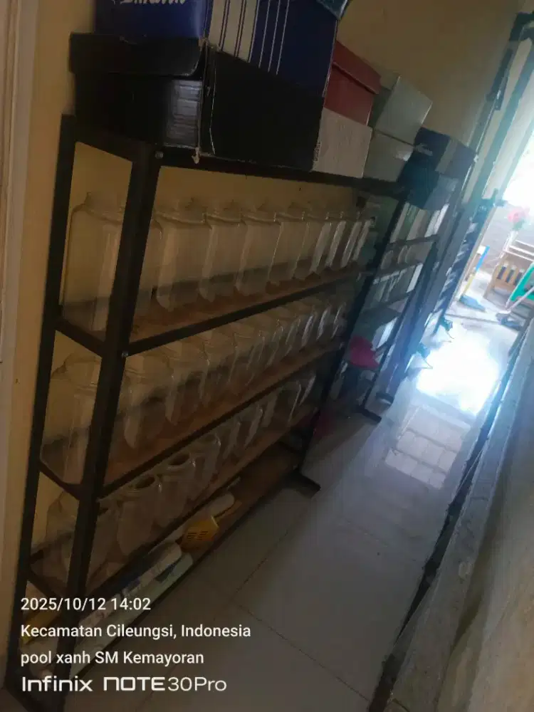 Rak besi ikan cupang