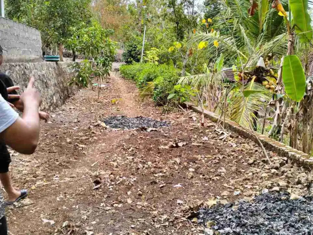 dijual murah tanah pekarangan luas 3358m akses mobil Pracimantoro Wonogiri