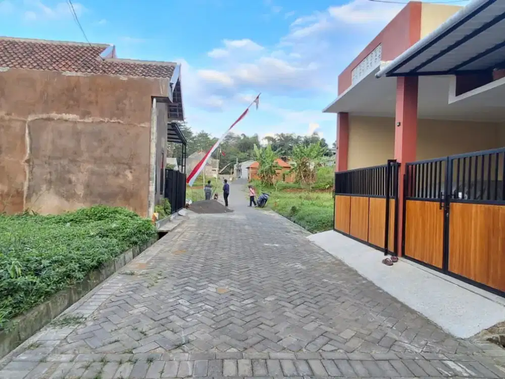 Tanah murah Sempalwadak Bululawang Jual cpt B.U Poll 200 m jl Provinsi