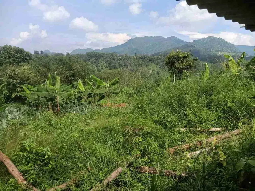 Dijual cepat Tanah lahan kavling di Desa Sukaharja, Kecamatan Sukamakmur Bogor Timur  Jawa Barat