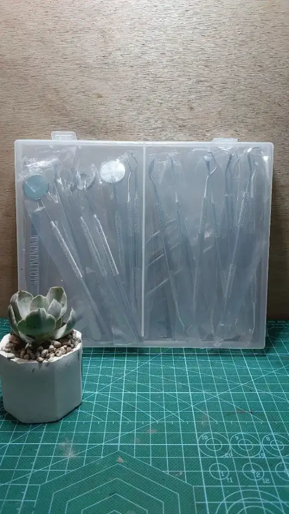 Pembersih gigi dan ear clean