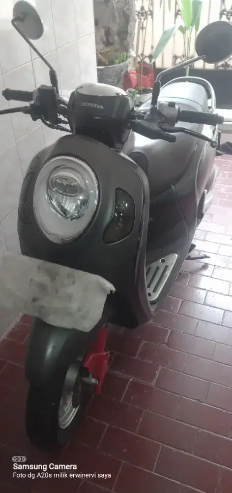 Honda scoopy 2022