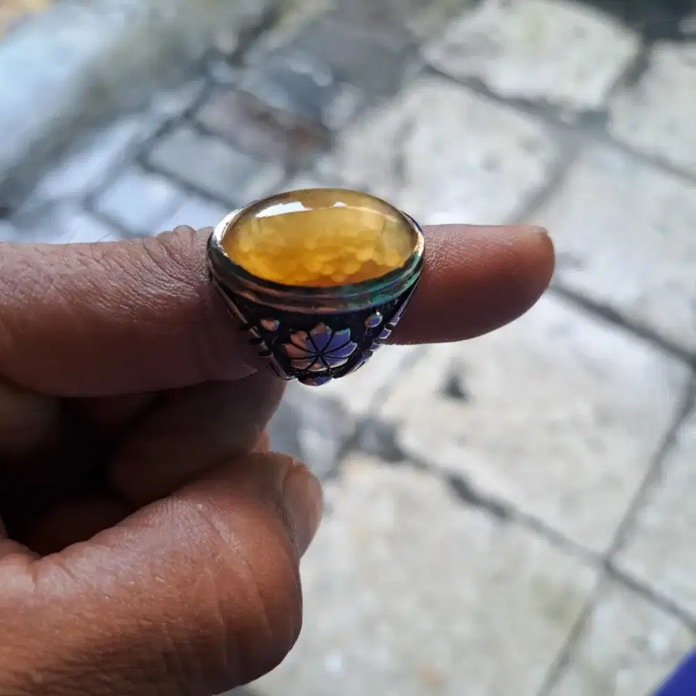 Natural batu akik pandan nanas sisik betok