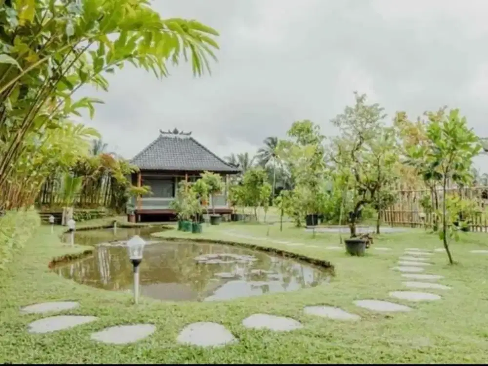 Dijual Villa asri full view lokasi Tabanan Bali