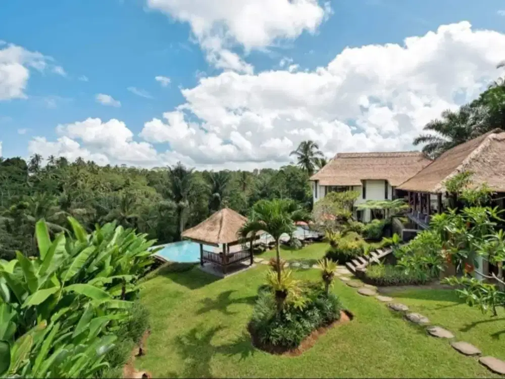 For Sale Villa Komersil view Jungle dan Sawah lokasi Ubud (Nego)