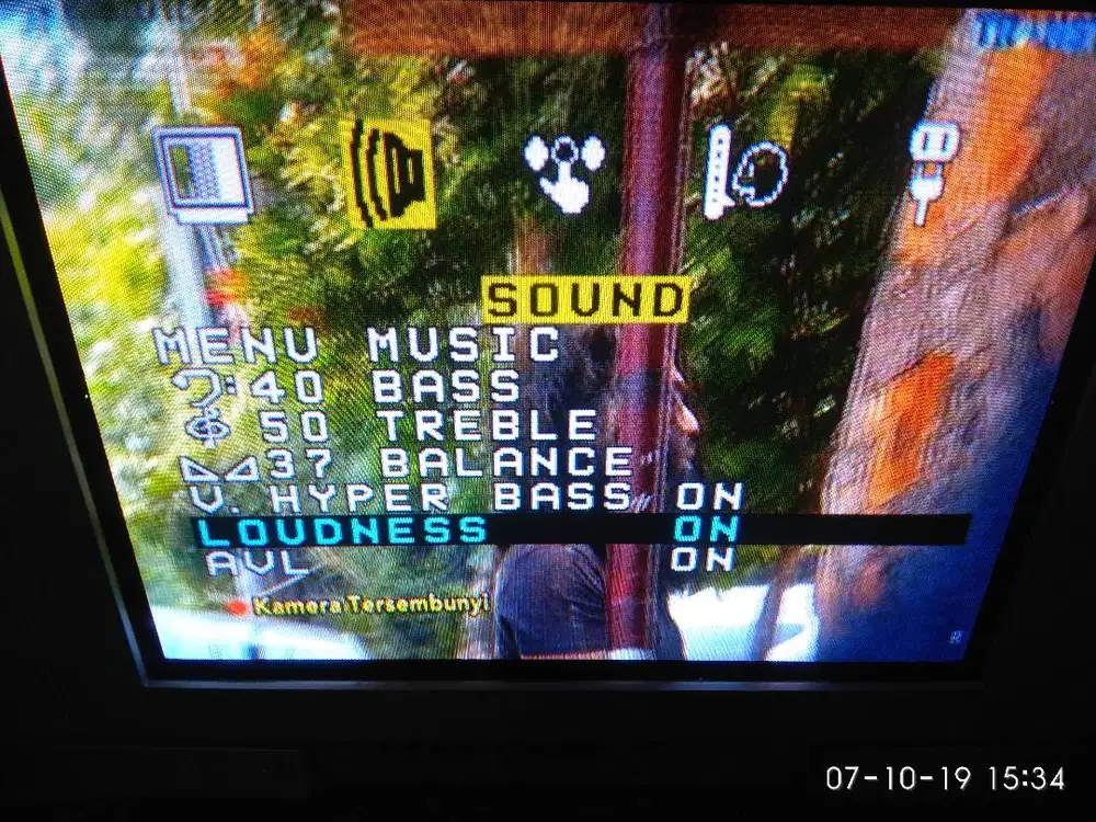 TV PANASONIC 21 FLAT