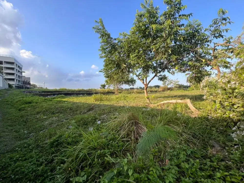 Dijual Tanah Umalas Kerobokan