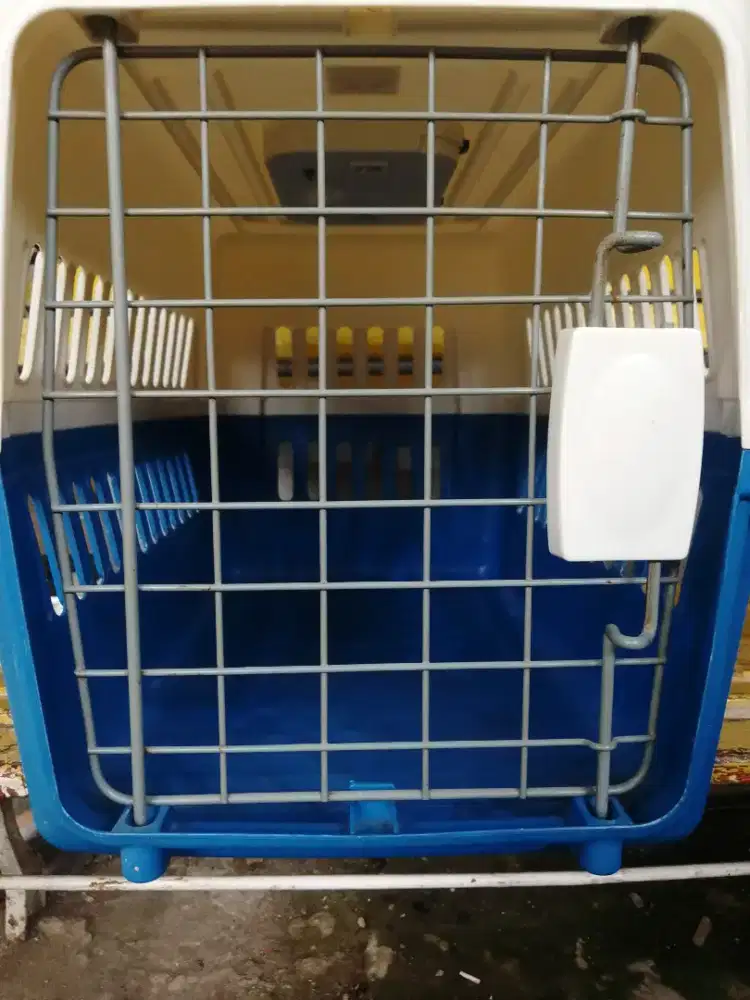 pet cargo kucing