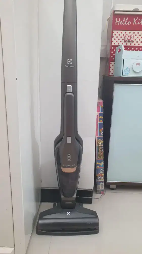 Vacum Cleaner Electrolux Bekas