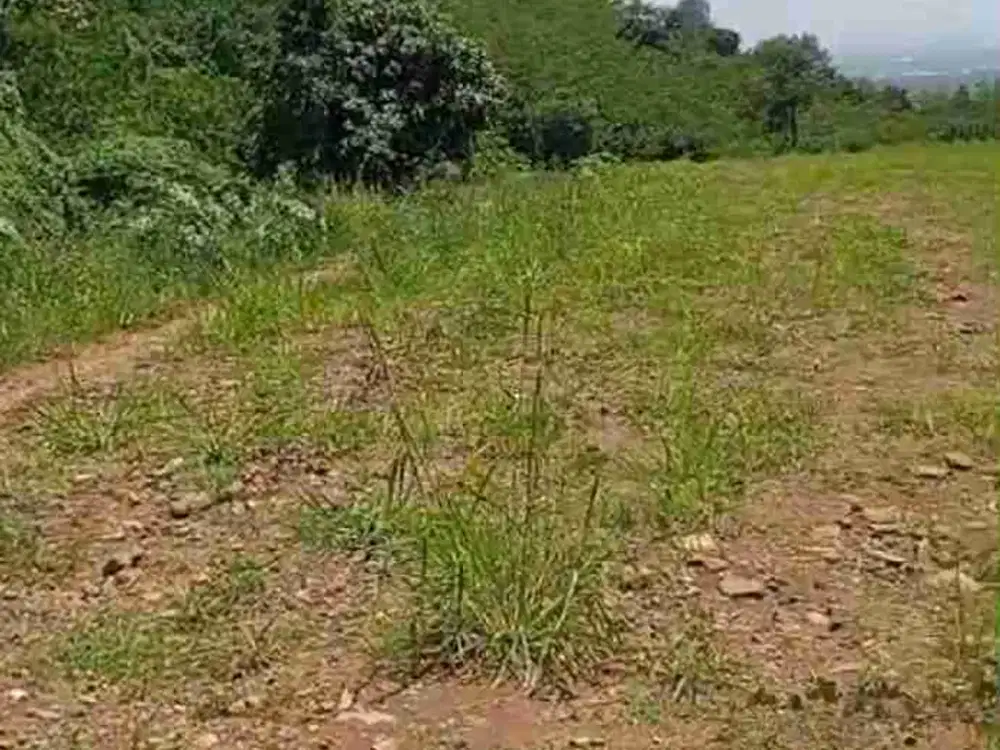 tanah ploting industri murah satu SHM di batang