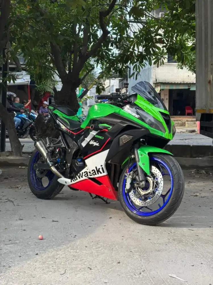 Kawasaki ninja 250 fi 2017 abs hedonn