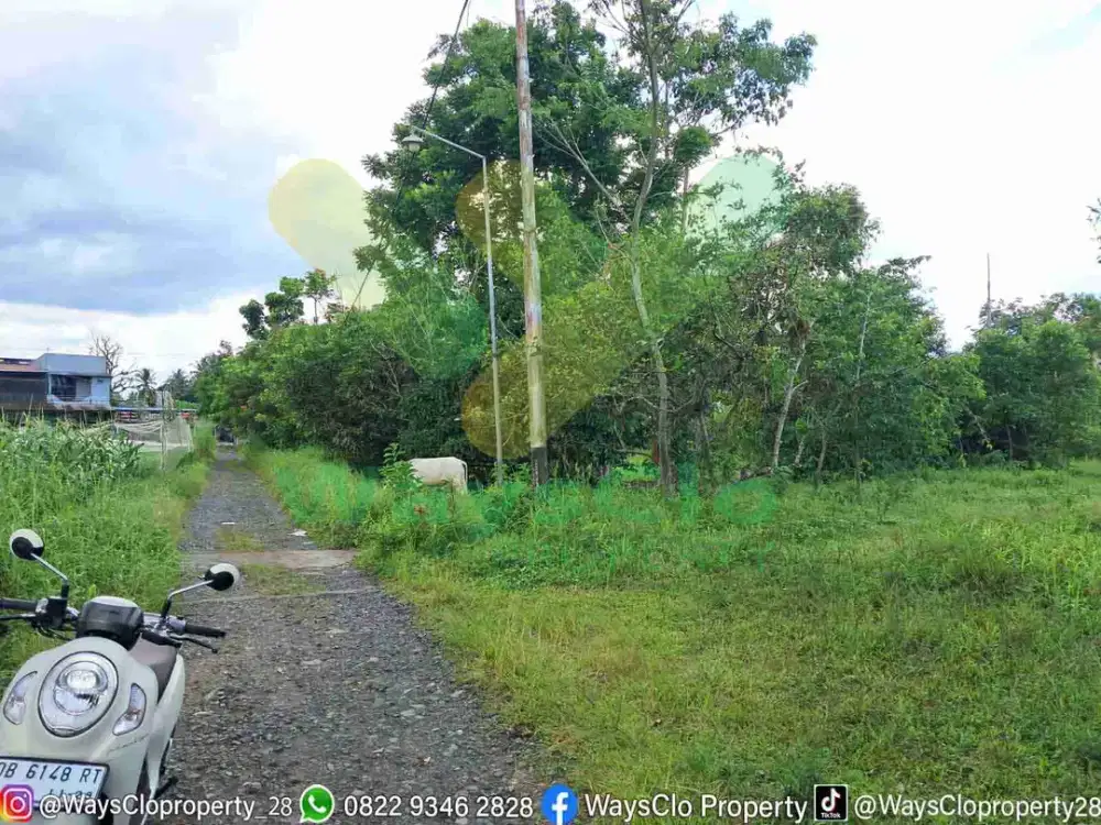 DIJUAL CEPAT TANAH CANTIK DAN MENARIK DI MAPANGET, HARGA SANGAT MURAH