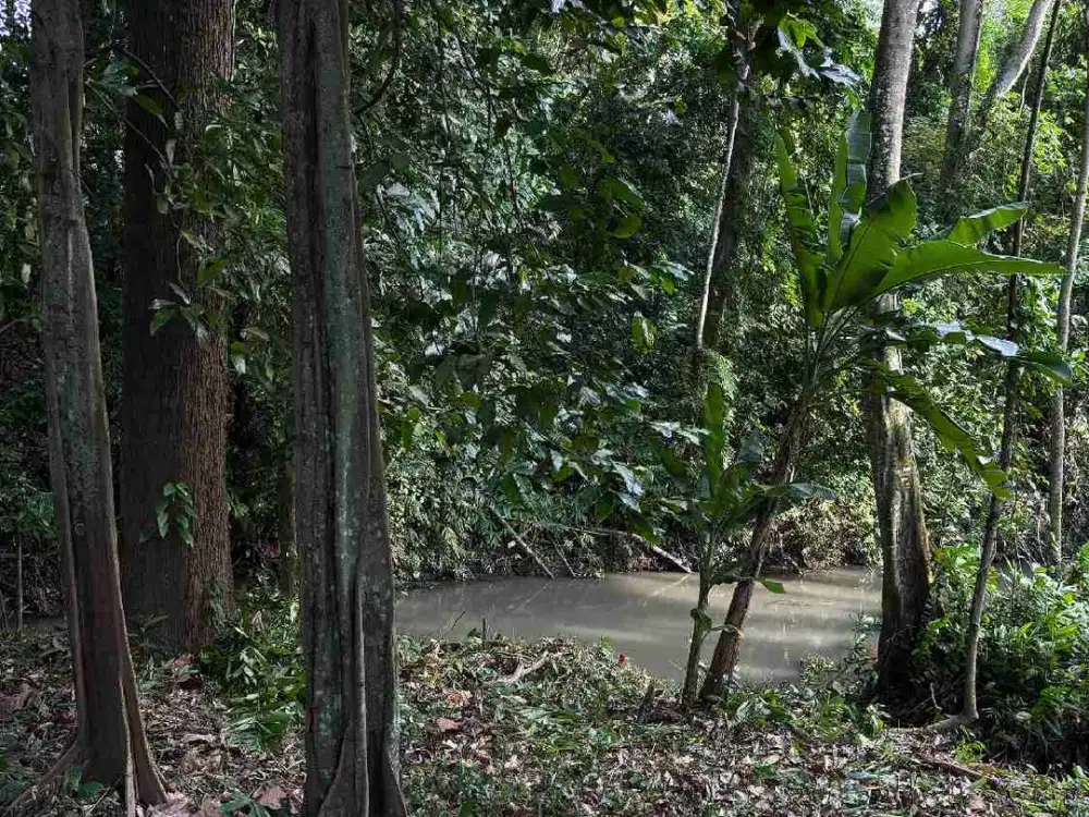 Land for Lease North Pererenan Tumbak Bayuh