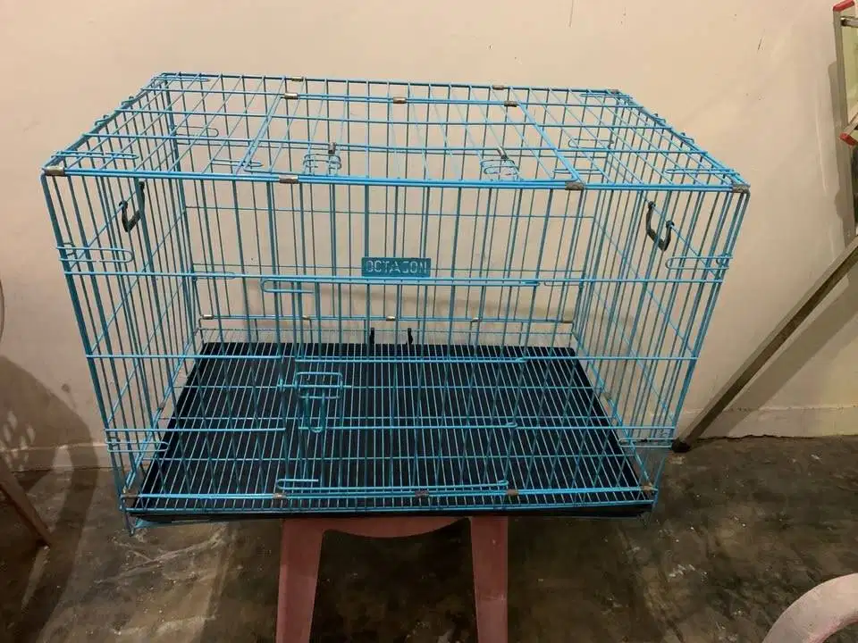 Kandang Kucing Dewasa