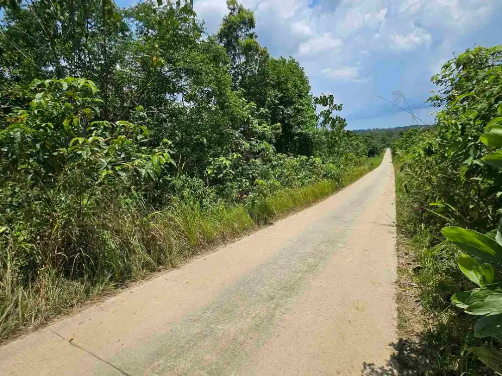 Dijual Tanah Jl Akses TPK Kariangau KM13