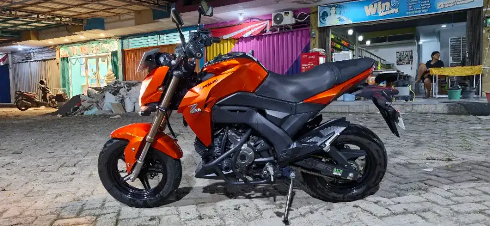 Kawasaki Z 125 pro