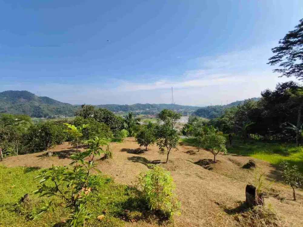 Dijual Kebun Produktif Durian dan Alpukat Luas 5 Hektar, lewiliang Bogor