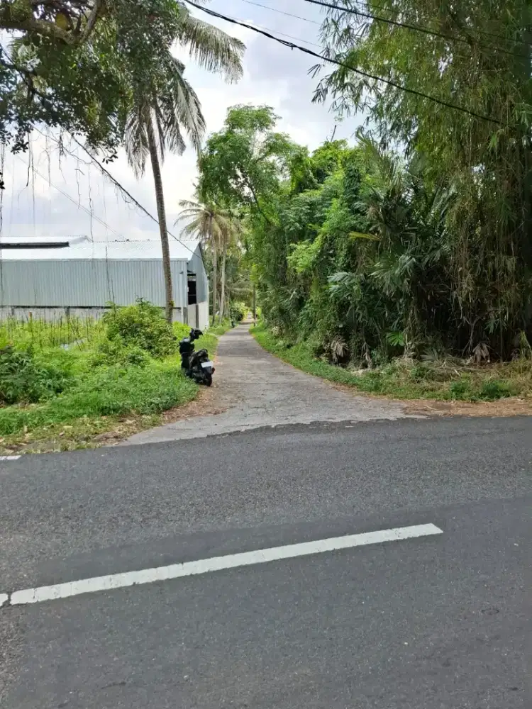 Disewakan di jl palagan km 14 Balong Donoharjo Ngaglik pinggir jalan