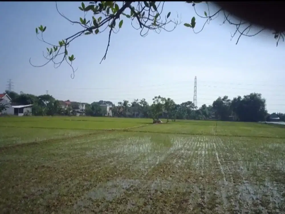 Tanah dijual lok strategis 0 km di Jl. Letda Sucipto, Perbon, Tuban