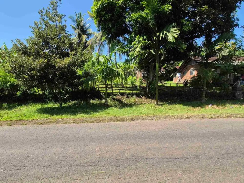TANAH PINGGIR JALAN 67 ARE DITEGAL BADENG TIMUR JEMBRANA BALI
