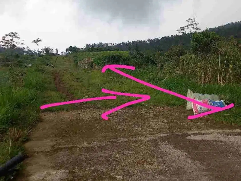 Tanah kosong asri view gunung Slamet kompleks wisata Pratin Karangreja Purbalingga